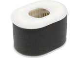 AIR FILTER (YT-855494)