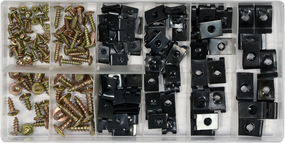 170 PCS BODYWORK NUTS&SCREWS ASSORTMENT (YT-06780)