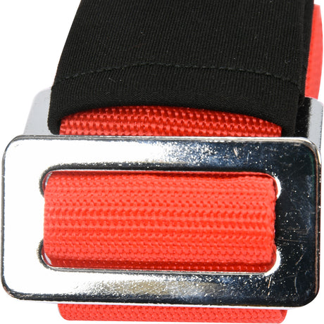 LIFTING AND MOVING  STRAPS (74721)