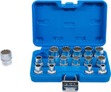SOCKET SET, 12-POINT | 12.5 MM (1/2") DRIVE | 8 - 24 MM | 16 PCS. (2226)