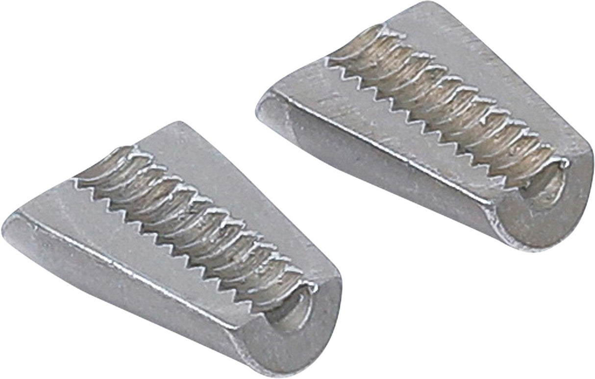 REPLACEMENT PAIR OF JAWS FOR BGS 406 (406-1)