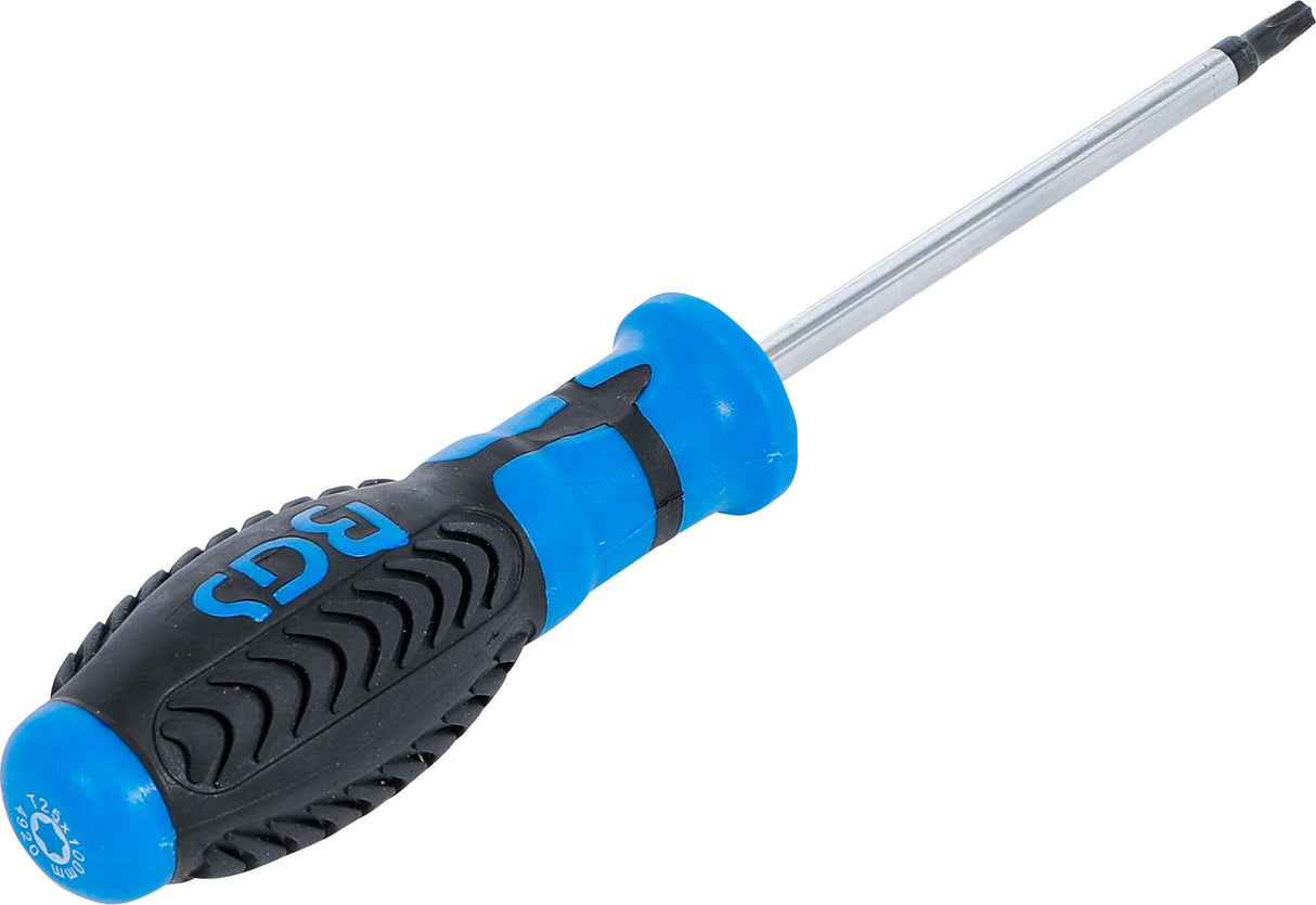 SCREWDRIVER | T-STAR (FOR TORX) T25 | BLADE LENGTH 100 MM (4920)