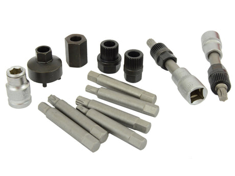 ALTERNATOR REPAIR TOOL SET | 13 PCS. (XC8059)