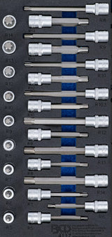 TOOL TRAY 1/3: BIT SOCKET SET | 12.5 MM (1/2") | SPLINE (FOR RIBE) | 25 PCS. (4117)