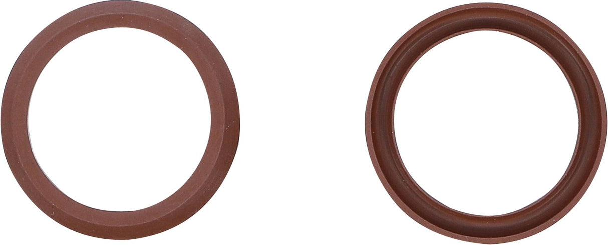 FLUORORUBBER SEALS FOR BGS 4067 (4067-1)