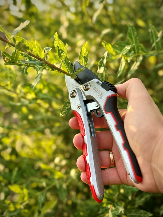 RATCHET SECATEURS FOR DRY BRANCHES WITH LOCK | 190 MM (YT-88122)