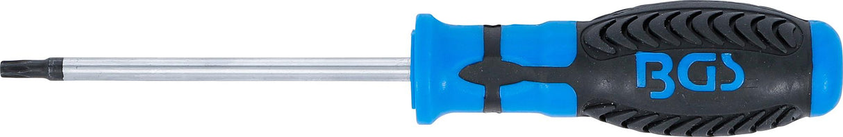 SCREWDRIVER | T-STAR (FOR TORX) T25 | BLADE LENGTH 100 MM (4920)