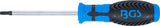 SCREWDRIVER | T-STAR (FOR TORX) T25 | BLADE LENGTH 100 MM (4920)