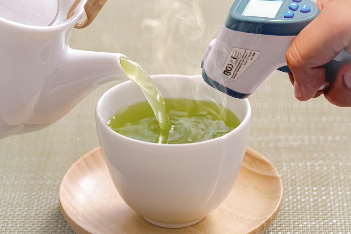 FOREHEAD THERMOMETER | CONTACTLESS, INFRARED | FOR PEOPLE + OBJECT MEASUREMENT | 0 - 100° (6007)