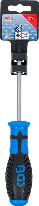 SCREWDRIVER | T-STAR (FOR TORX) T25 | BLADE LENGTH 100 MM (4920)
