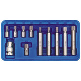 SCREWDRIVER BIT SET SPLINE M5-M12 11PCS (66770)