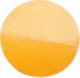 HOOK AND LOOP BACKING PAD | 125 MM (08521)