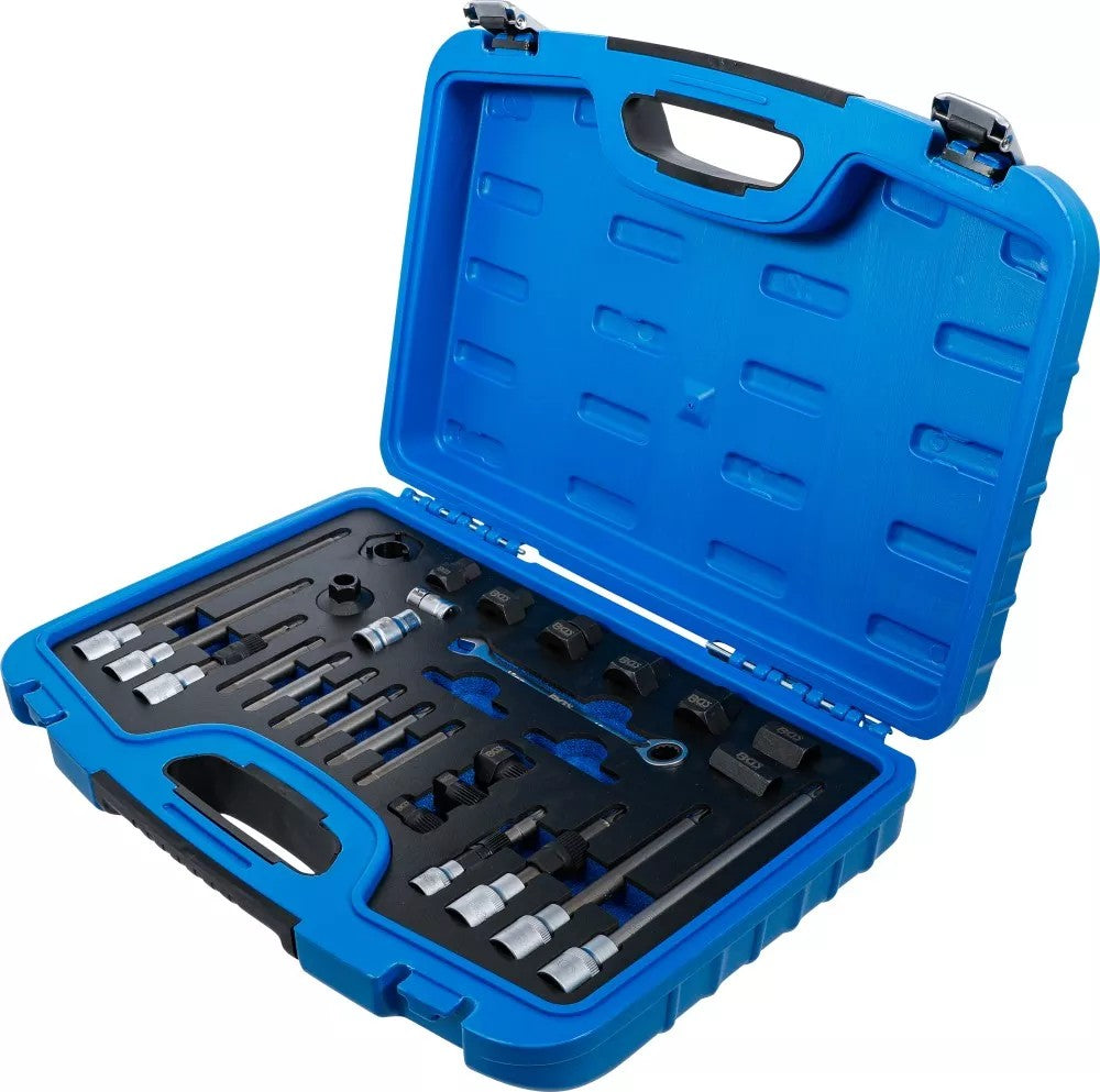 ALTERNATOR TOOL SET | 30 PCS. (4248)