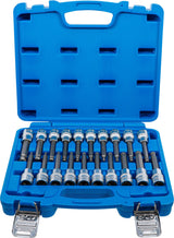BIT SOCKET SET | 12.5 MM (1/2") DRIVE | INTERNAL HEXAGON, T-STAR (FOR TORX), SPLINE (FOR XZN) WITH BALL HEAD | 20 PCS. (5170)