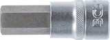 BIT SOCKET | 12.5 MM (1/2") | INTERNAL HEXAGON 17 MM (5052-17)