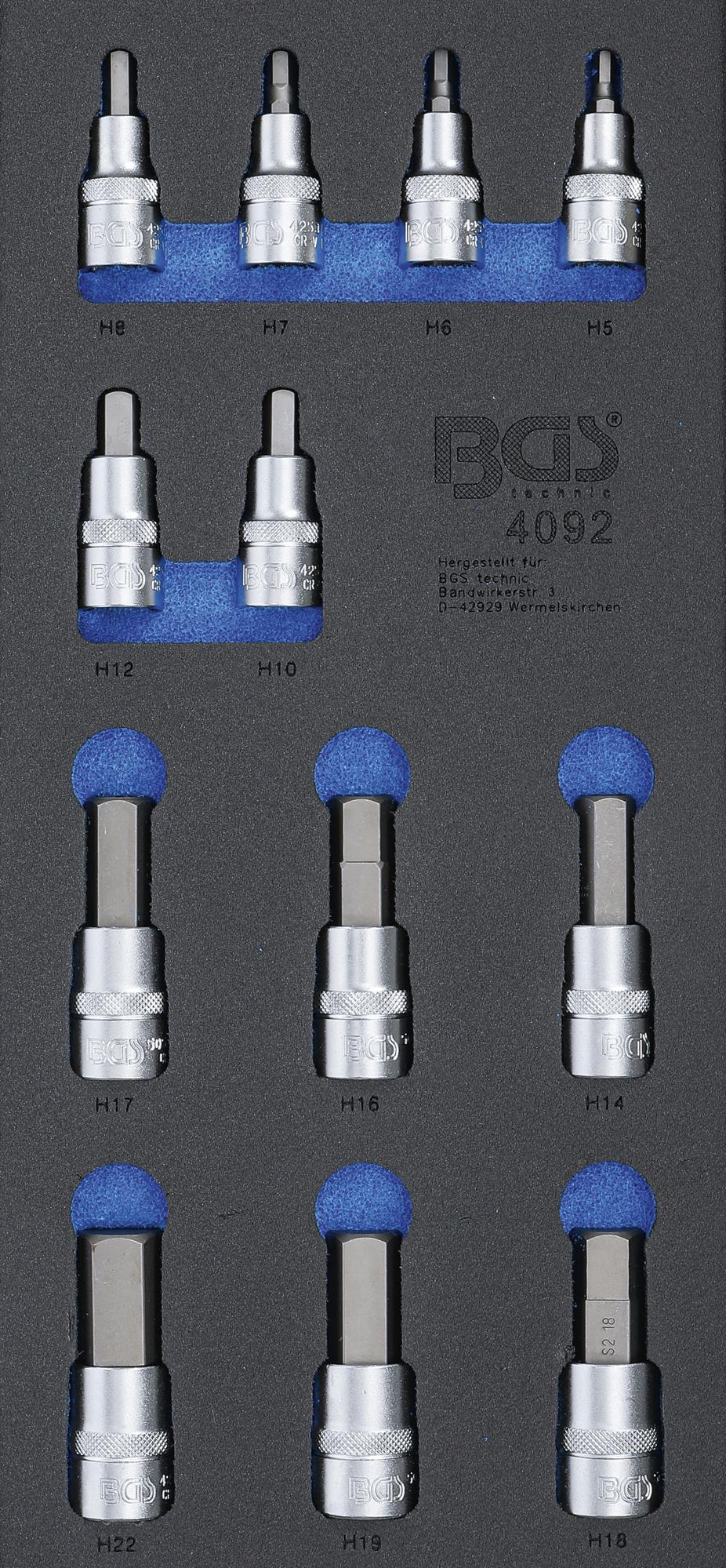 TOOL TRAY 1/3: BIT SOCKET SET | INTERNAL HEXAGON | 12.5 MM (1/2") | 12 PCS. (4092)