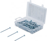 NAIL ASSORTMENT | 250 G | 2.8 X 60 MM (88118)