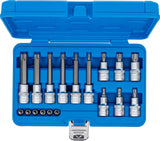 BIT SOCKET SET | 6.3 MM (1/4") / 12.5 MM (1/2") DRIVE | T-STAR (FOR TORX) | 18 PCS. (5173)