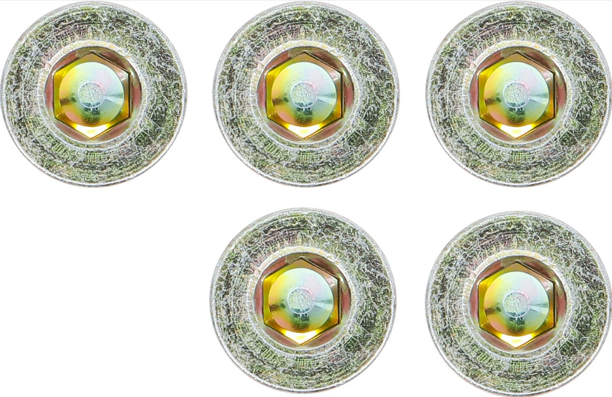 OIL DRAIN PLUG | FOR BGS 126 | M20 X 1.5 MM | 5 PCS. (126-SM20)