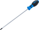 SCREWDRIVER | T-STAR (FOR TORX) T25 | BLADE LENGTH 250 MM (4946)