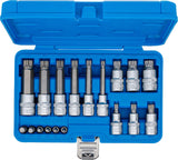 BIT SOCKET SET | 6.3 MM (1/4") / 12.5 MM (1/2") DRIVE | SPLINE (FOR XZN) | 18 PCS. (5172)