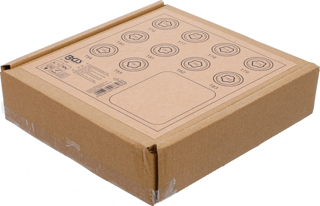 TOOL TRAY 1/6: RIM LOCK SOCKET SET FOR TESLA | 10 PCS. (74580B)