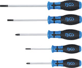 SCREWDRIVER SET | 5 PCS. (7943)