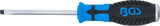 SCREWDRIVER | SLOT SL 6 MM | BLADE LENGTH 100 MM (4904)