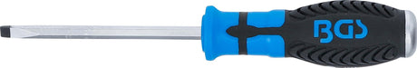 SCREWDRIVER | SLOT SL 6 MM | BLADE LENGTH 100 MM (4904)