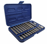 BIT SET | 10 MM (3/8") THICKNESS | SPLINE (RIBE) | 22 PCS. (RB21S)