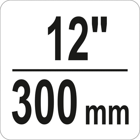 C CLAMP 12" (YT-64258)
