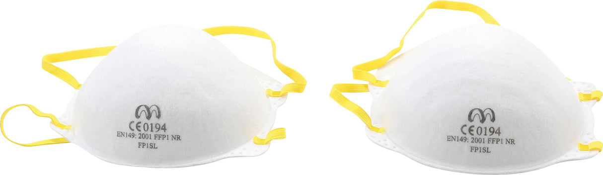 DUST MASKS | 2 PCS. (3620)
