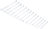 COMBINATION SPANNER SET | EXTRA LONG | 6 - 19 MM | 14 PCS. (1228)