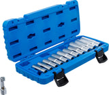 SPECIAL SOCKET SET, SLOTTED | 10 MM (3/8") DRIVE | 8 - 19 MM | 12 PCS. (70988)