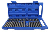 BIT SET | PLASTIC BOX | 40 PCS. (66410P)