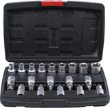 BIT SOCKET / SOCKET SET | 12.5 MM (1/2") DRIVE | T-STAR (FOR TORX) / E-TYPE | 19 PCS. (95100)