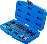 ALTERNATOR BIT/ BIT SOCKET SET | 12.5 MM (1/2") | 13 PCS. (4246)
