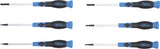 PRECISION SCREWDRIVER SET | 6 PCS. (9151)