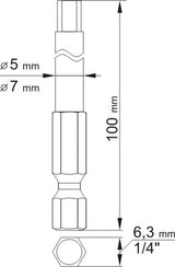 SCREWDRIVER BITS - HEX TAMPER 4;6 L100MM (YT-0495)