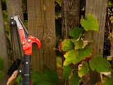 TELESCOPIC TREE PRUNER | 1.8 M | 35 MM (YT-88770)