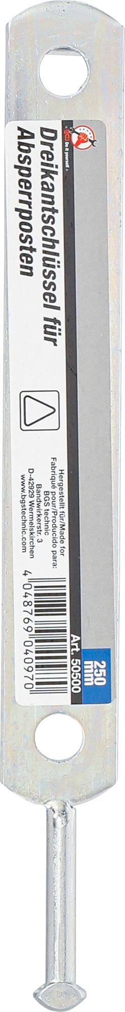 TRIANGULAR WRENCH FOR BARRICADE POSTS WITH TRIANGULAR LOCK | M12 (50500)