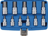 BIT SOCKET SET | 12.5 MM (1/2") DRIVE | INTERNAL HEXAGON 7/32" - 13/16" | INCH SIZES | 11 PCS. (5053)