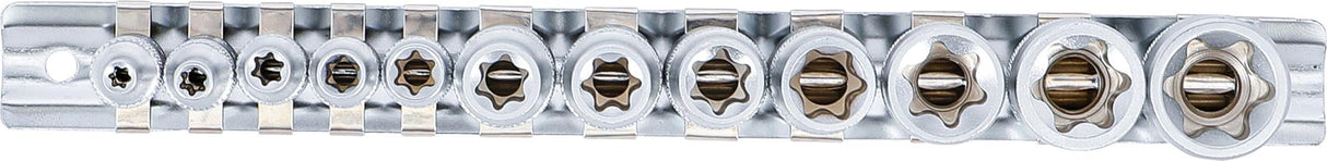 SOCKET SET, E-TYPE | 6.3 MM (1/4") / 10 MM (3/8") DRIVE | E4 - E20 | 12 PCS. (2038)