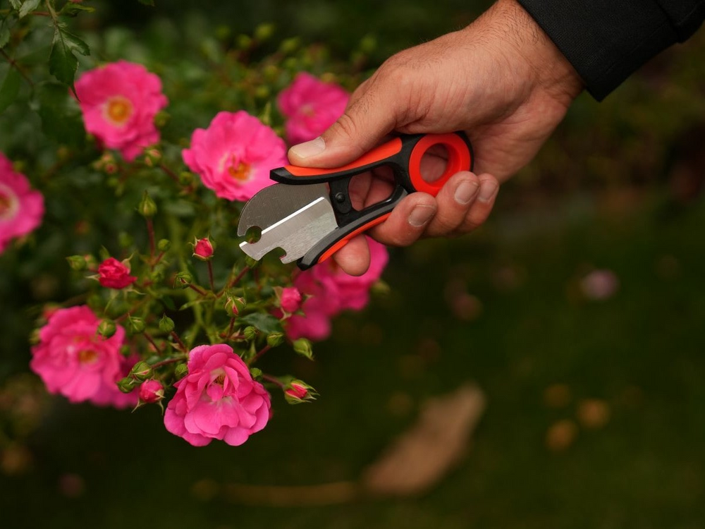 FLOWER STRIPPER WITH ROSE THORN REMOVER | 13 CM (YT-87850)