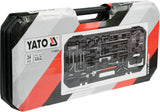 PETROL DIESEL ENGINE TIMING TOOL SET (YT-06015)
