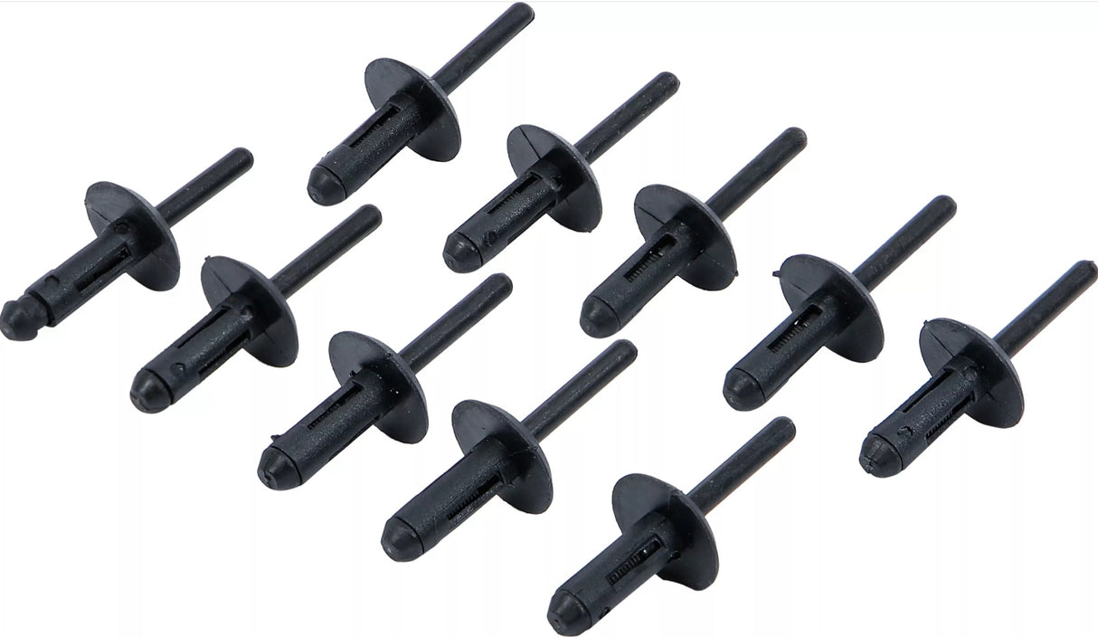 BLIND RIVETS FOR BGS 8463 | 6.3 X 25.2 MM | 10 PCS. (8463-4)