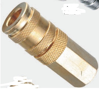 QUICK COUPLING | FEMALE THREAD | LOCKING RING | 1/4" (D1-F)