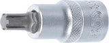 BIT SOCKET | 12.5 MM (1/2") DRIVE | SPLINE (FOR RIBE) M9 (4154)