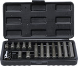 BIT SET | 10 MM (3/8") DRIVE | INTERNAL HEXAGON | 15 PCS. (5070)