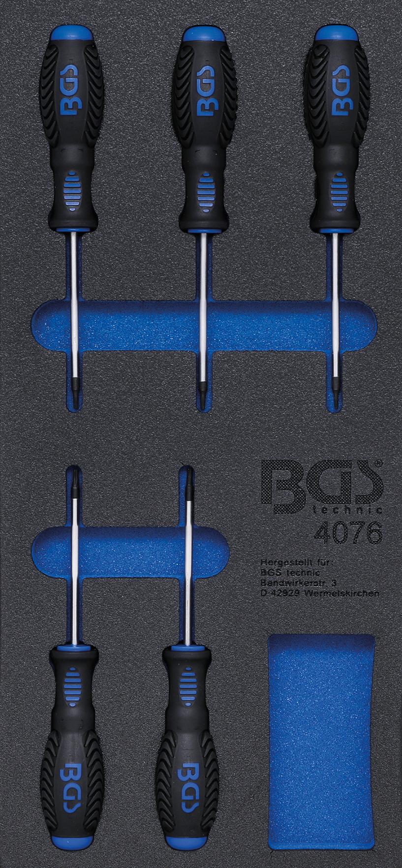 TOOL TRAY 1/3: SCREWDRIVER T-STAR (FOR TORX) | 5 PCS. (4076)